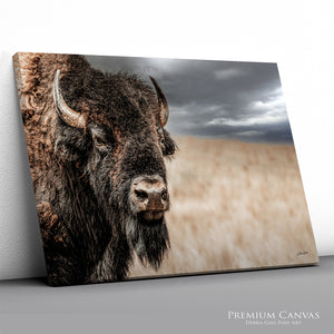 Bison Bull Close Up Photography | Rustic Buffalo Prairie Canvas Print