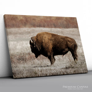 Rustic Bison Wall Art | Buffalo Canvas Print Western Farmhouse Decor