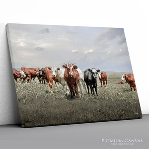 Cattle Art Print | Farmhouse Cattle Canvas - Rustic Farmhouse Wall Art Decor