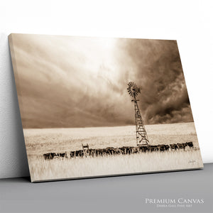 Black Angus Canvas Wall Art | Nebraska Windmill Print Farmhouse Decor