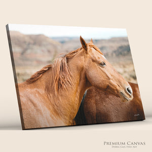 Western Horse Photography | Rustic Ranch Decor, Chestnut Horse Canvas Print