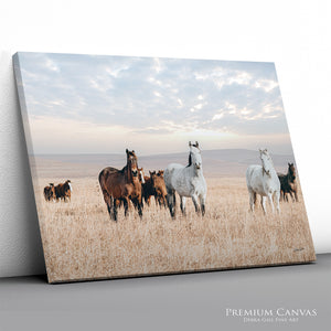 Flint Hills Wild Horses Roaming | Western Horse Fine Art Photography
