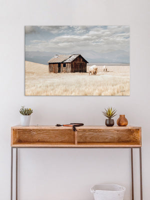 Buffalo fine art print – spiritual white bison Great Plains wildlife wall decor by Debra Gail Fine Art