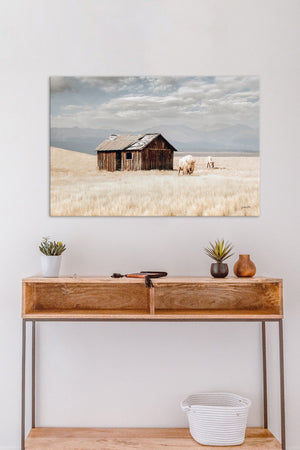 Buffalo fine art print – spiritual white bison Great Plains wildlife wall decor by Debra Gail Fine Art