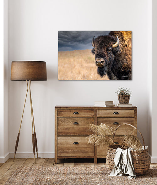 rustic bison buffalo wall art
