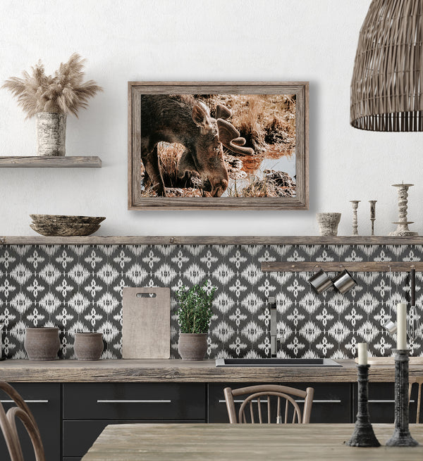 Rustic Moose Wall Art - Wildlife Photography Canvas or Print