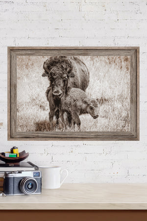 Bison wall art – rustic prairie photography print by Debra Gail Fine Art