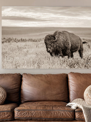 A large wall art canvas print of a bison standing in a grassy field, displayed above a brown leather sofa, with neutral light sepia tones.