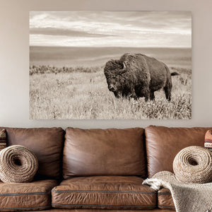 A large wall art canvas print of a bison standing in a grassy field, displayed above a brown leather sofa, with neutral light sepia tones.