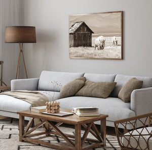 White Buffalo Wall Art | Western Wildlife Fine Art