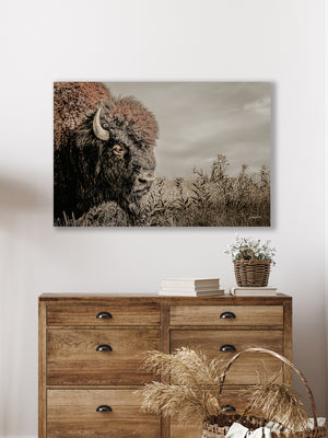 Bison wall art – rustic prairie photography print by Debra Gail Fine Art