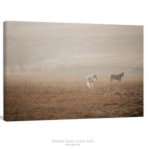 Farm and ranch wall art – Western horses and pasture photography print by Debra Gail Fine Art