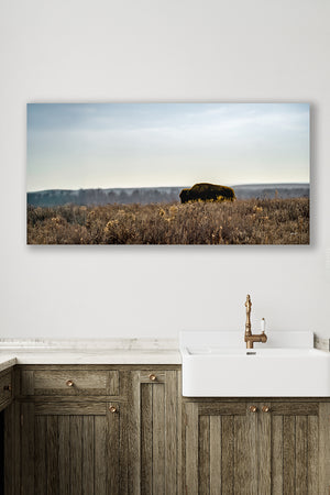 Bison wall art – wide panoramic rustic prairie photography print by Debra Gail Fine Art