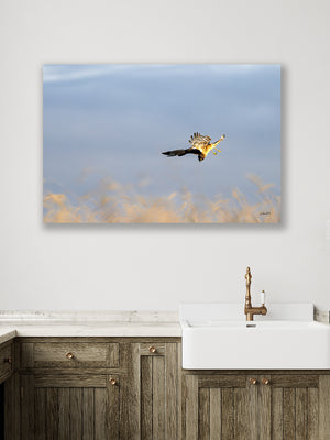 hawk Prairie wall art – sunrise landscape photography print by Debra Gail Fine Art