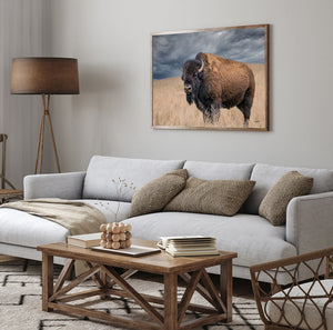 Buffalo Wall Art - Rustic Bison Prairie Framed, Canvas, Barnwood Framed