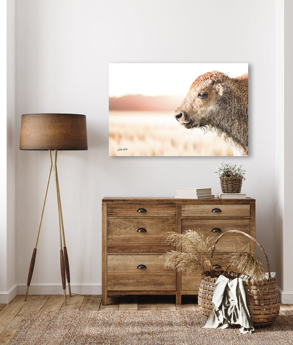 Captivating fine art print of an American Bison, highlighting the intricate details of its fur and the powerful, stoic expression of this iconic animal