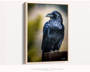Raven Art Print - Western Gothic Home Decor | Rustic Black Bird Wall Art