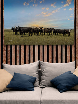 Angus cow canvas wall art – Western ranch fine art photography by Debra Gail Fine Art