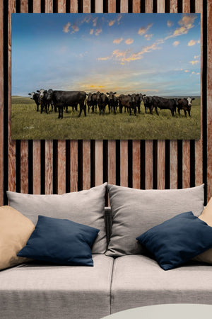 Angus cow canvas wall art – Western ranch fine art photography by Debra Gail Fine Art
