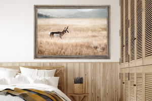 pronghorn antelope wall art canvas – wildlife Western fine art print by Debra Gail Fine Art