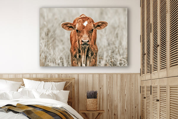 CUTE COW CANVAS PICTURE - NURSERY, KIDS, FARMHOUSE DECOR