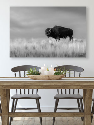 Bison wall art – black and white rustic prairie photography print by Debra Gail Fine Art