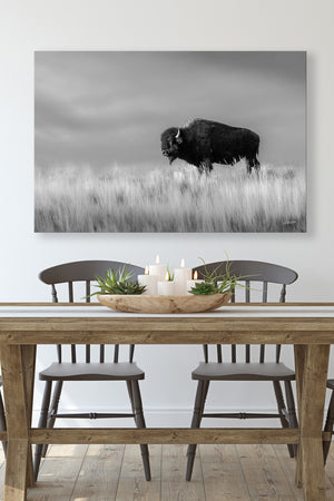Bison wall art – black and white rustic prairie photography print by Debra Gail Fine Art