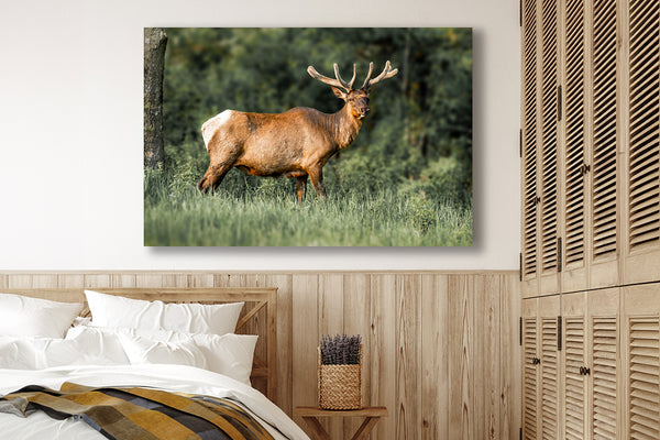 MAJESTIC ELK ART PRINT - RUSTIC CABIN DECOR