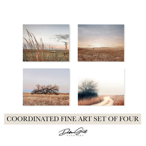 Flint Hills Wall Art — Set of 4