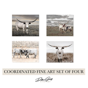 Neutral Texas Longhorn Wall Art — Set of 4