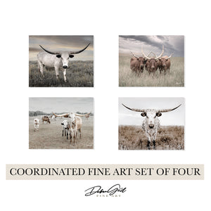 Rustic Texas Longhorn Wall Art — Set of 4