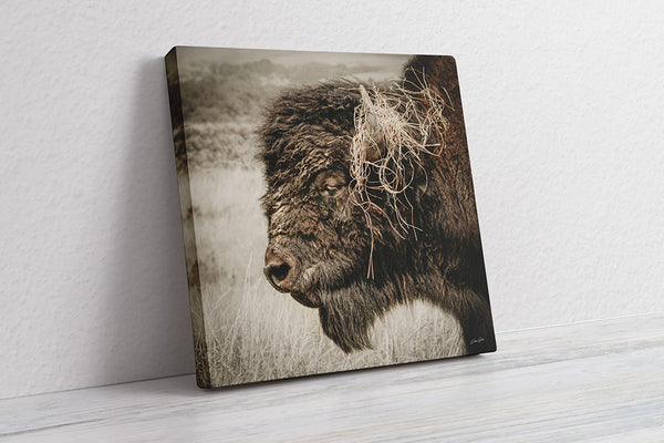 Wild and Free – Bison in the Prairie - Rustic Buffalo Wall Art Decor