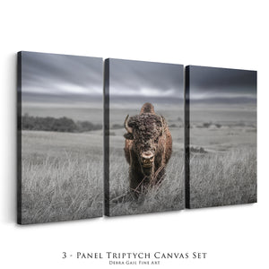 Bison Triptych Wall Art | Three-Panel Western Canvas Statement Set