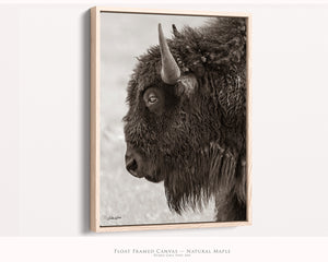 Vertical Bison Wall Art | Monochrome Sepia Western Farmhouse Print