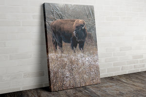 Bison wall art – vertical buffalo canvas prairie photography print by Debra Gail Fine Art