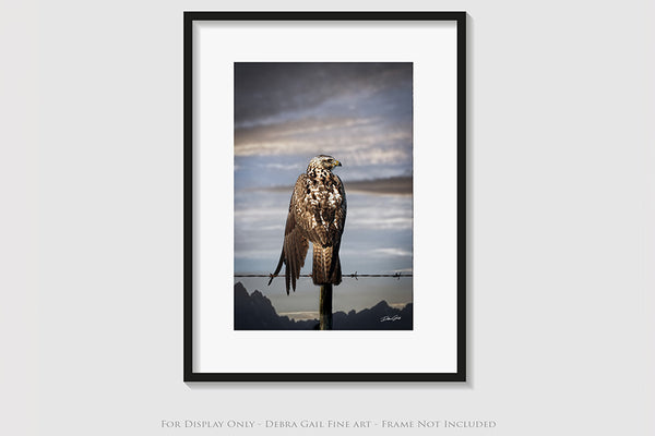 HAWK ON THE WIRE - WESTERN GOTHIC FINE ART PRINT