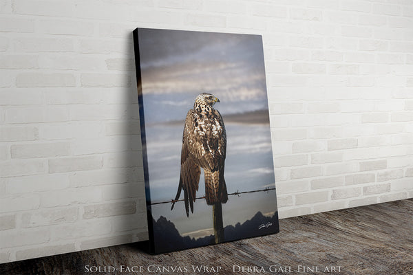 HAWK ON THE WIRE - WESTERN GOTHIC FINE ART PRINT