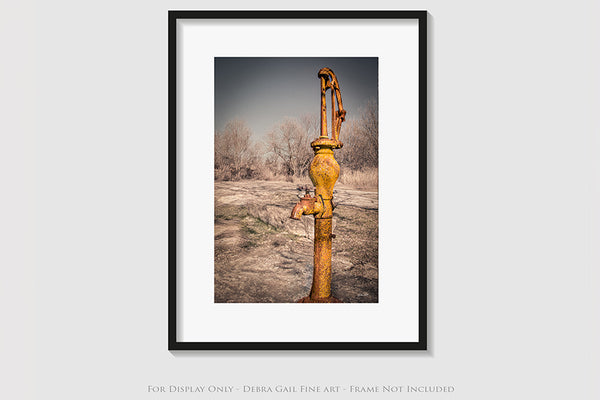 Rusty Hand Pump - Vintage Kitchen Wall Decor