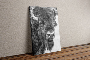 Vertical Bison Canvas Wall Art | Western Black and White Wildlife