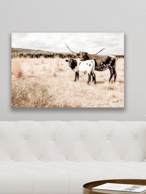 Texas Longhorn wall canvas barnwood framed Western fine art print by Debra Gail Fine Art