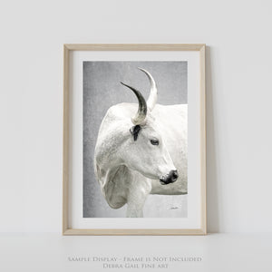Texas Longhorn wall art – Western ranch photography print by Debra Gail Fine Art