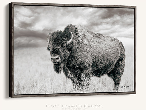 BISON BULL STANDING - RUSTIC DECOR BY DEBRA GAIL