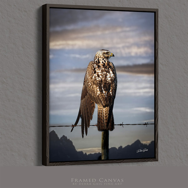 HAWK ON THE WIRE - WESTERN GOTHIC FINE ART PRINT