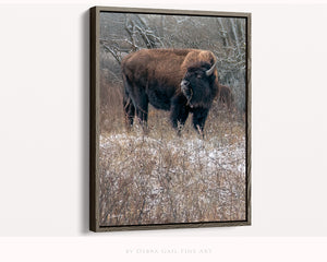 Bison wall art – vertical buffalo canvas prairie photography print by Debra Gail Fine Art