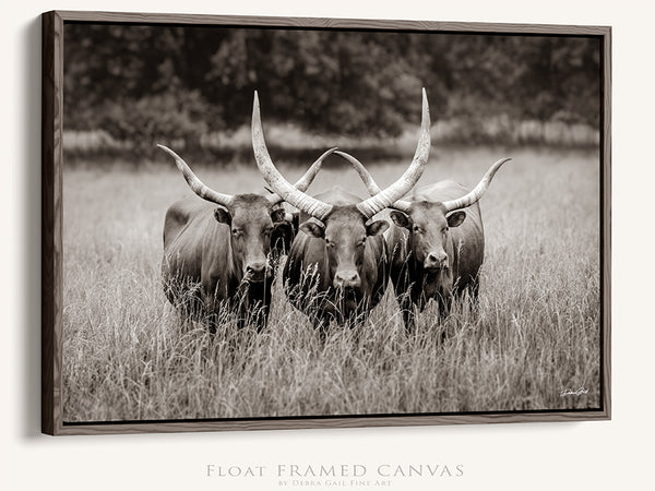 WATUSI LONGHORN ART - WESTERN DECOR