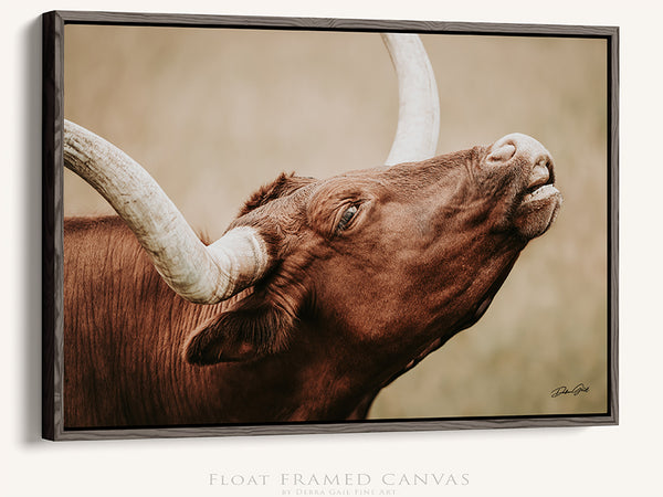 TEXAS LONGHORN CLOSEUP PICTURE - CANVAS FARMHOUSE DECOR