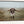 STUNNING LARGE LONGHORN ART - FARMHOUSE DECOR