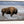 BISON WALL ART - BLUE EARTH TONES