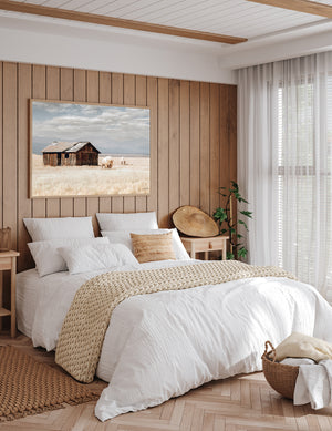 Buffalo fine art print – spiritual white bison Great Plains wildlife wall decor by Debra Gail Fine Art