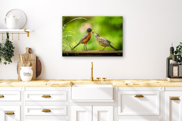 Mother Bird Red Robin, Baby Bird, Bird Feeding Wildlife Art